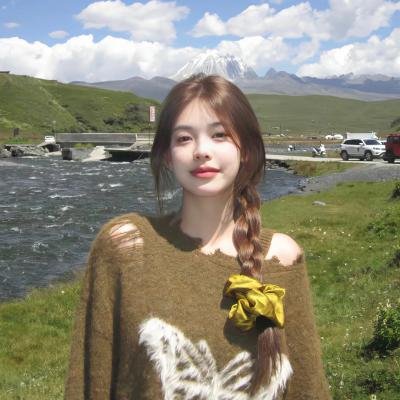 模范刑警第二季